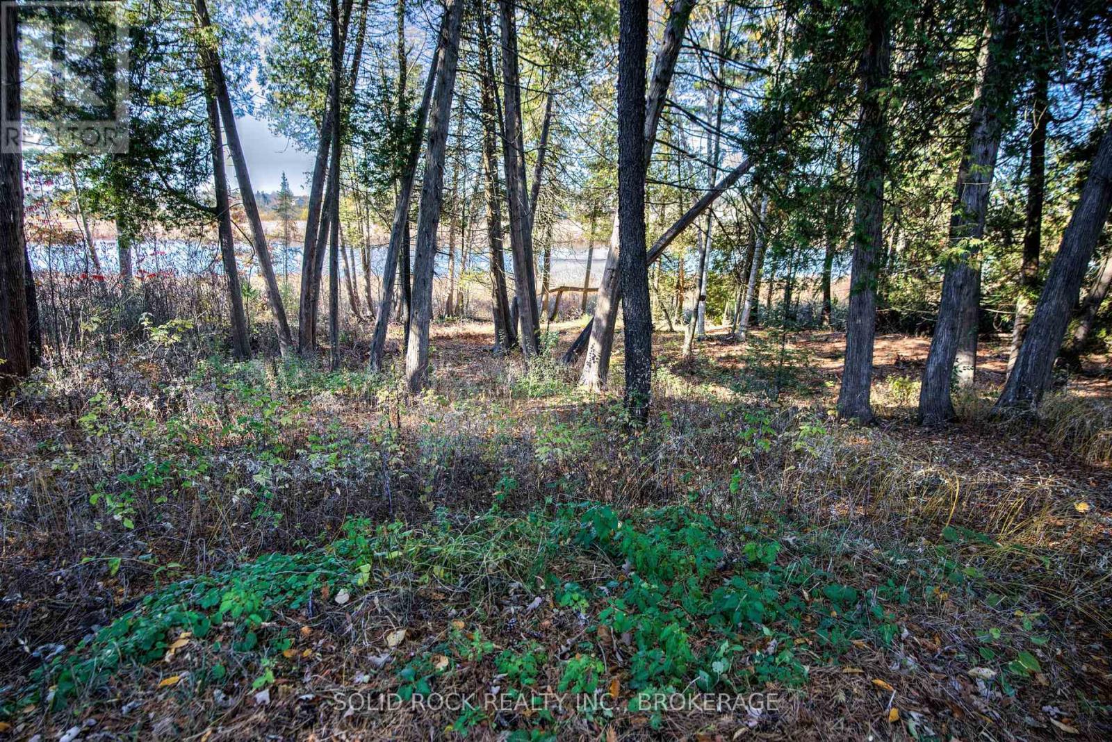 423 Mud Lake Road, Loyalist (Lennox And Addington - South), Ontario  K0H 2H0 - Photo 43 - X12489690