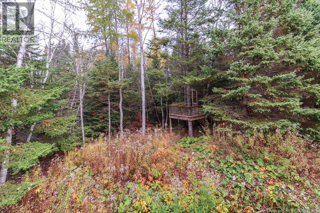 152 Owens Road, Saint John, New Brunswick  E2N 1K7 - Photo 3 - NB129313