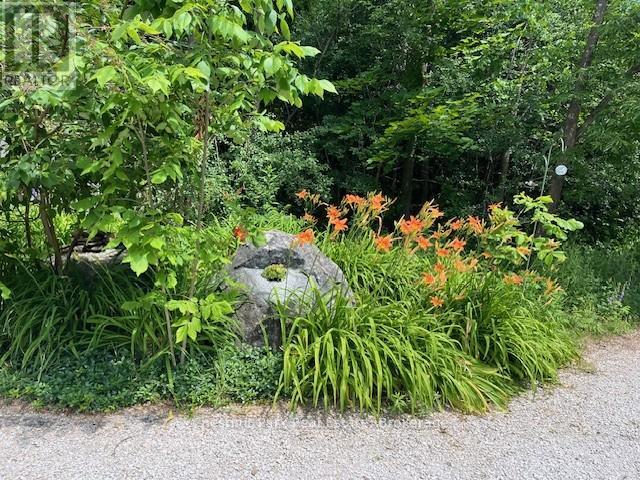 156 Harbour Beach Drive, Meaford, Ontario  N4L 1W5 - Photo 35 - X12308463