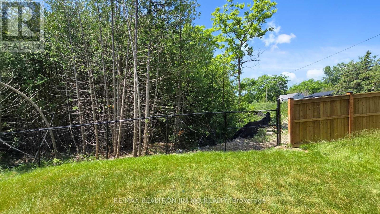 3 Big Canoe Drive, Georgina, Ontario  L0E 1R0 - Photo 43 - N12489676