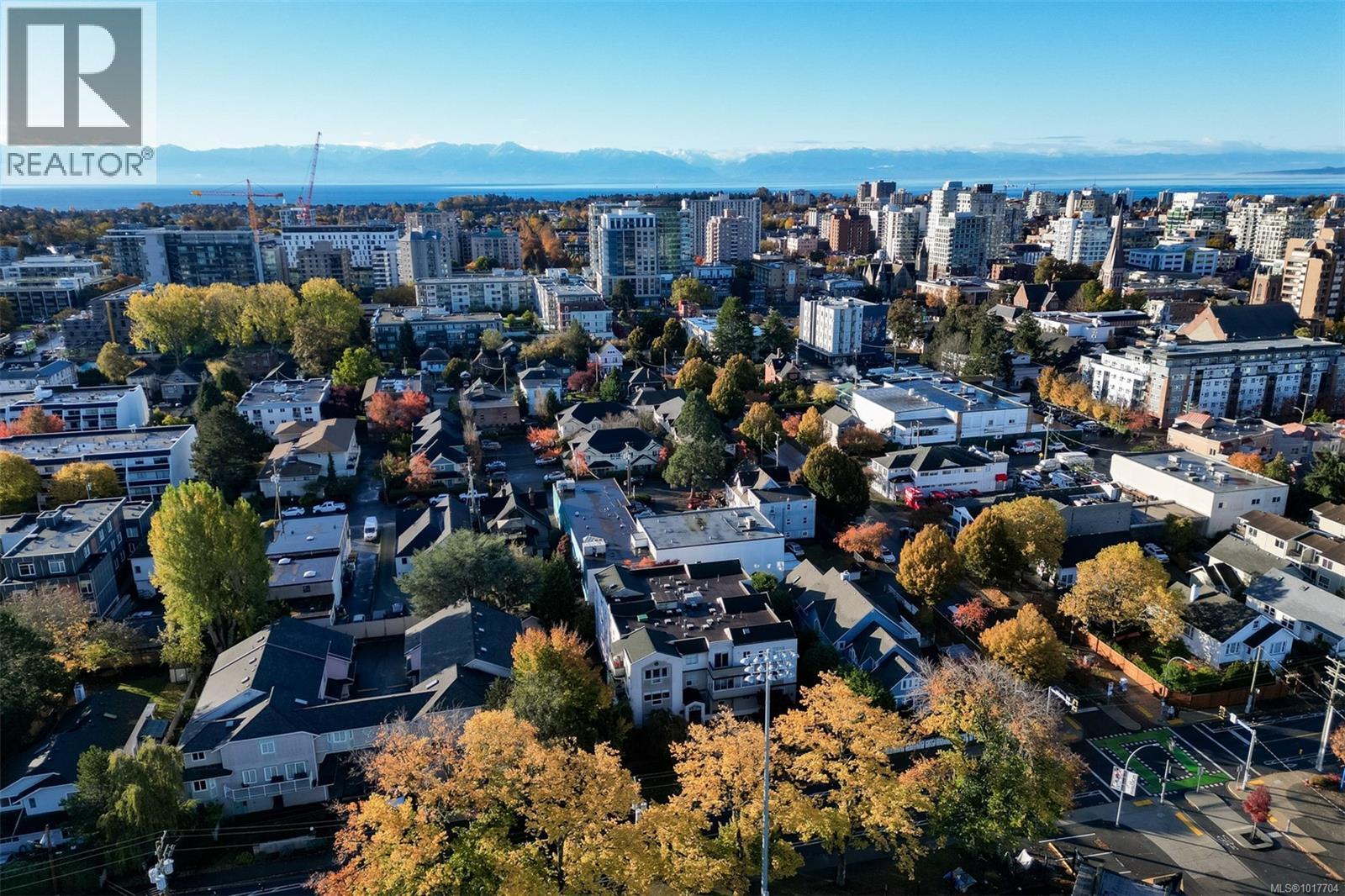 302 1007 Caledonia Ave, Victoria, British Columbia  V8T 1E7 - Photo 44 - 1017704