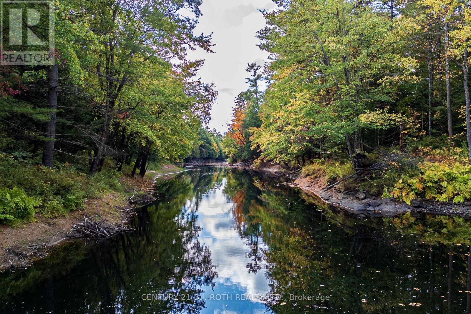 8101 Kings River Road, Ramara, Ontario  L0K 2B0 - Photo 7 - S12435134