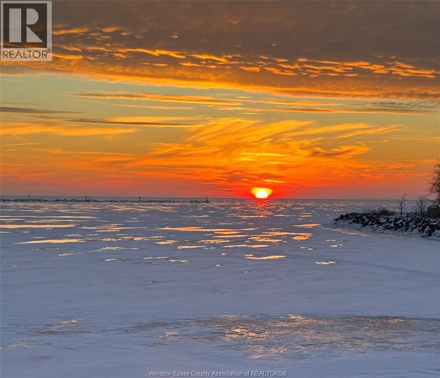 102 Robson Road, Leamington, Ontario  N8H 5P3 - Photo 48 - 25026794