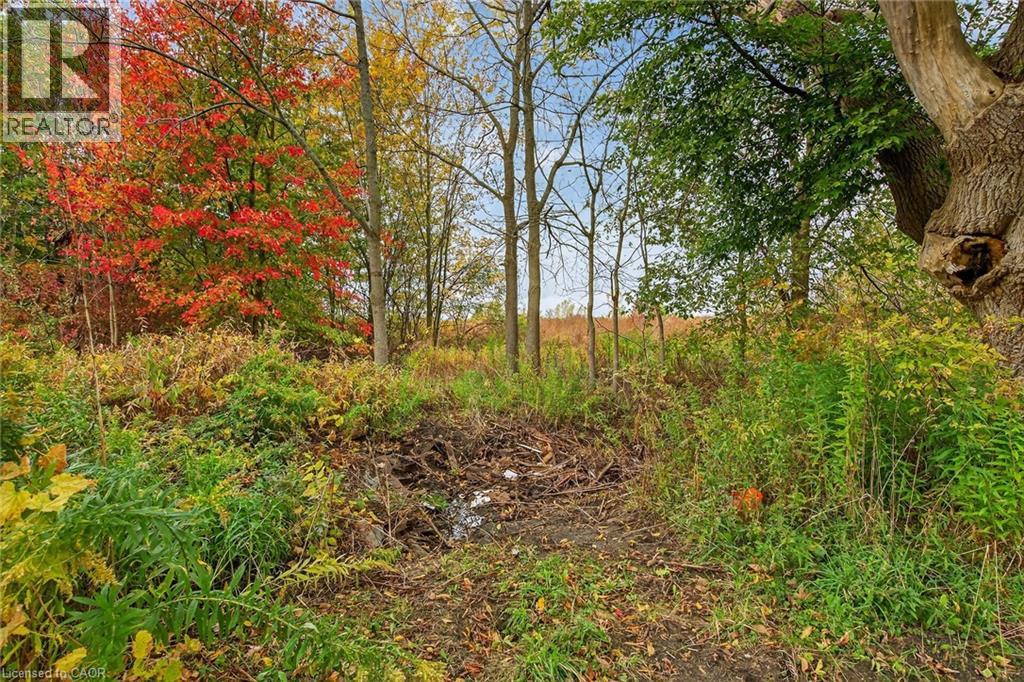 436 West Street, Dunnville, Ontario  N1A 2V3 - Photo 40 - 40781956