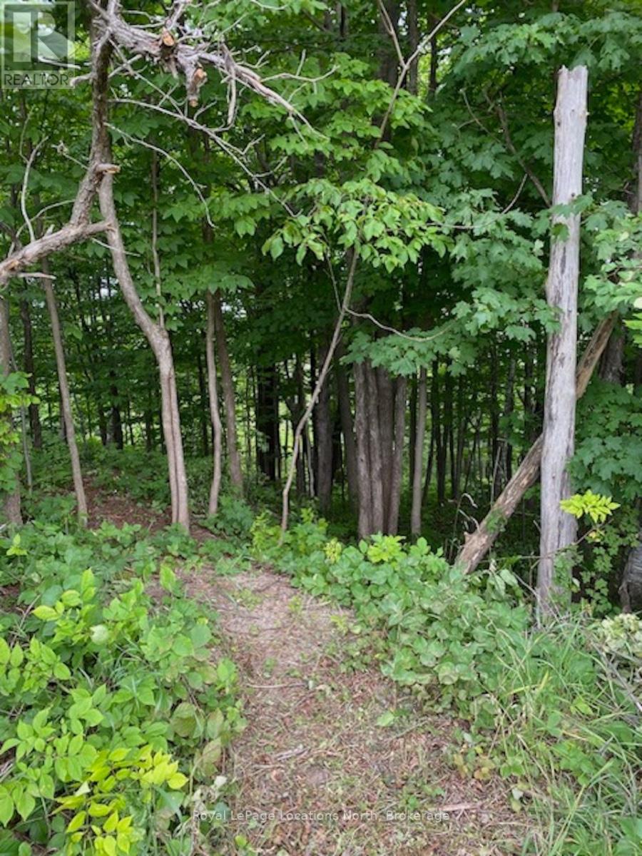 Ptlt 40 12 Concession, Blue Mountains, Ontario  N0H 2P0 - Photo 5 - X12489820