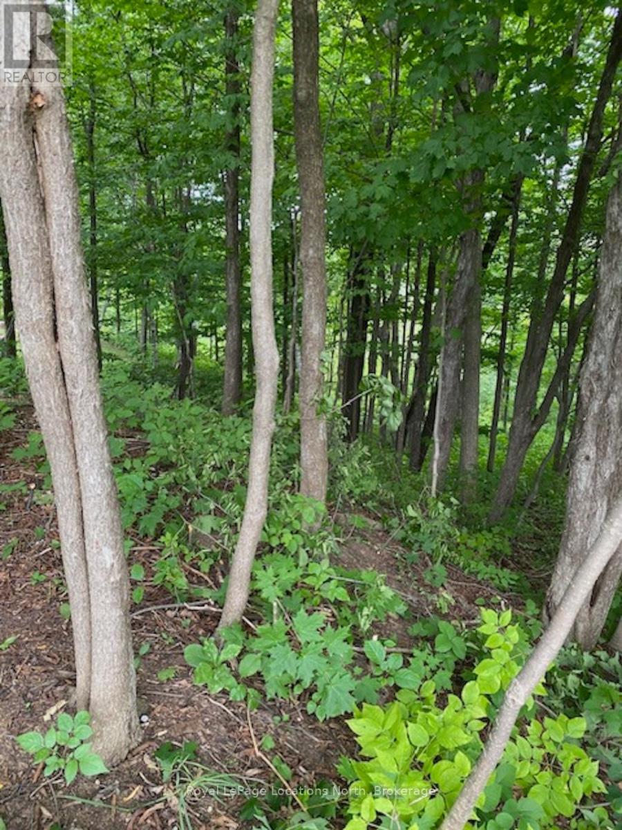 Ptlt 40 12 Concession, Blue Mountains, Ontario  N0H 2P0 - Photo 7 - X12489820