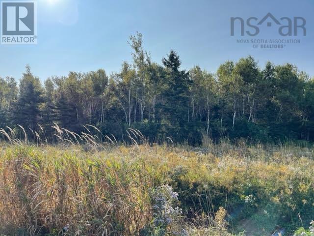 Lot 20 Beach Chair Lane, Pugwash, Nova Scotia  B0K 1L0 - Photo 6 - 202516587