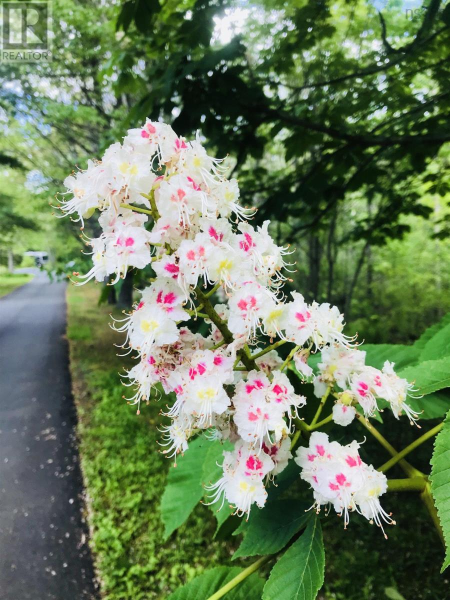 15 Cottage Lane, Windsor Junction, Nova Scotia  B2T 1G7 - Photo 14 - 202521027