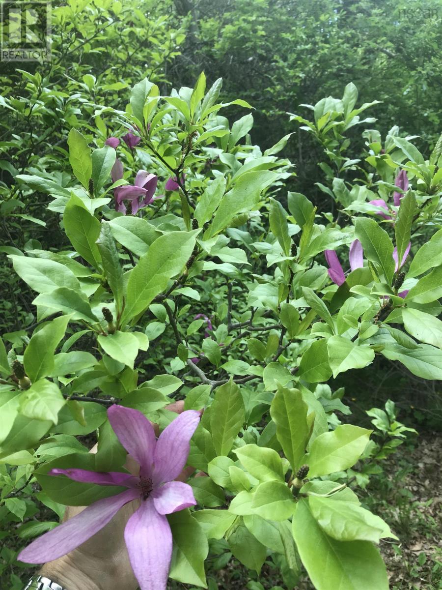 15 Cottage Lane, Windsor Junction, Nova Scotia  B2T 1G7 - Photo 4 - 202521027