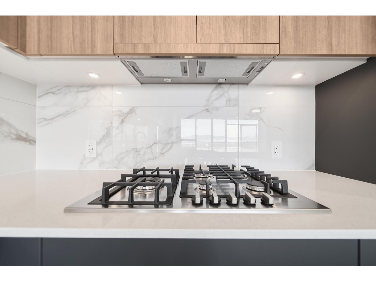 804 20065 85 Avenue, Langley, British Columbia  V2Y 3Y5 - Photo 8 - R3063147