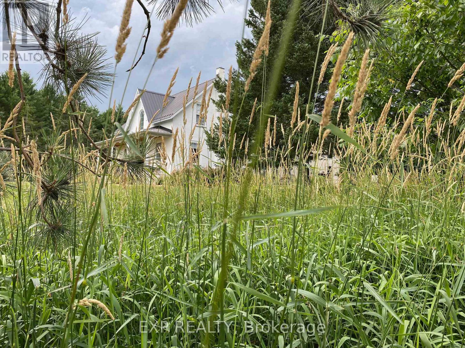 2375 County 10 Road, East Hawkesbury, Ontario  K0B 1P0 - Photo 40 - X12479657