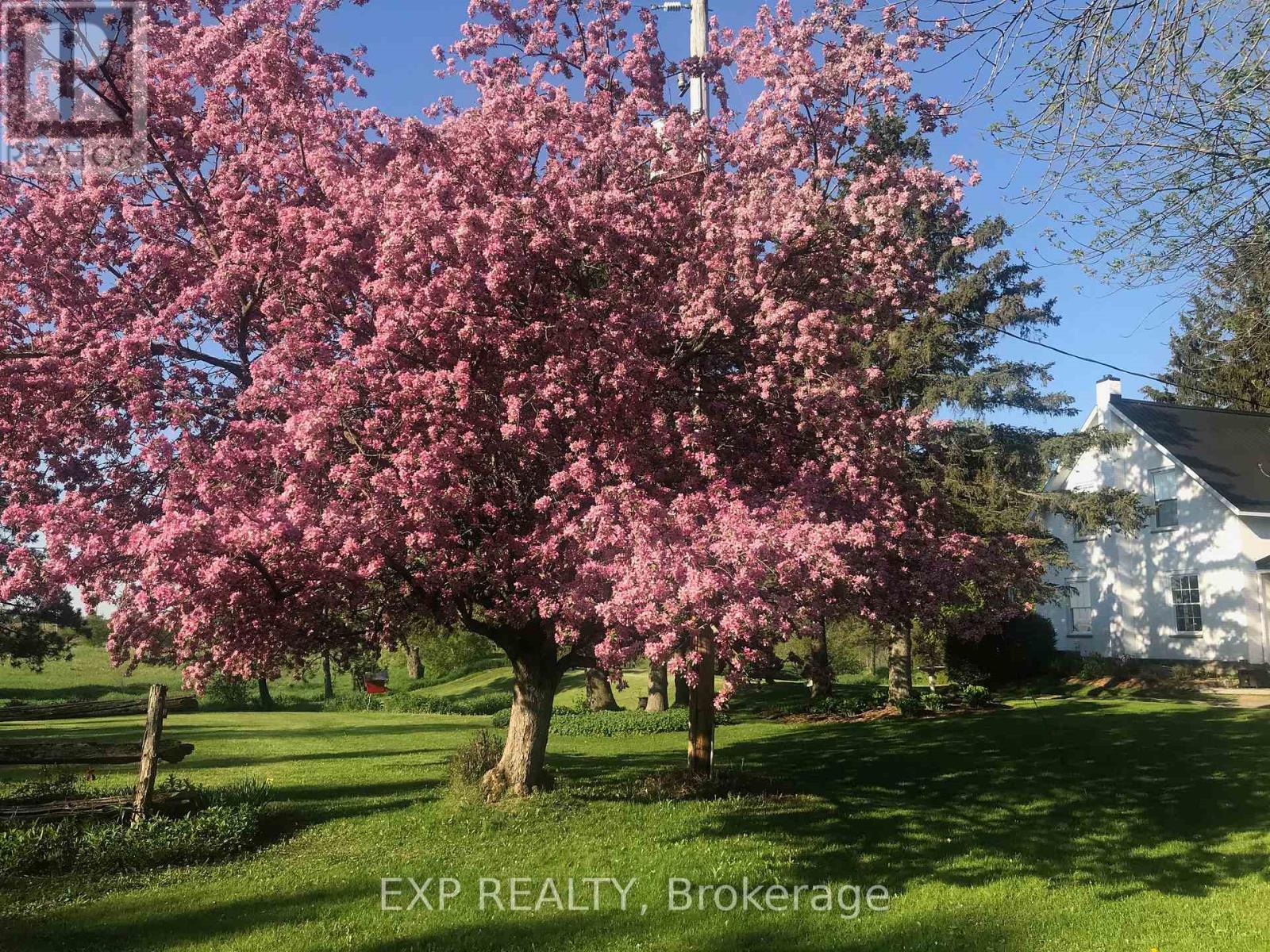 2375 County 10 Road, East Hawkesbury, Ontario  K0B 1P0 - Photo 43 - X12479657