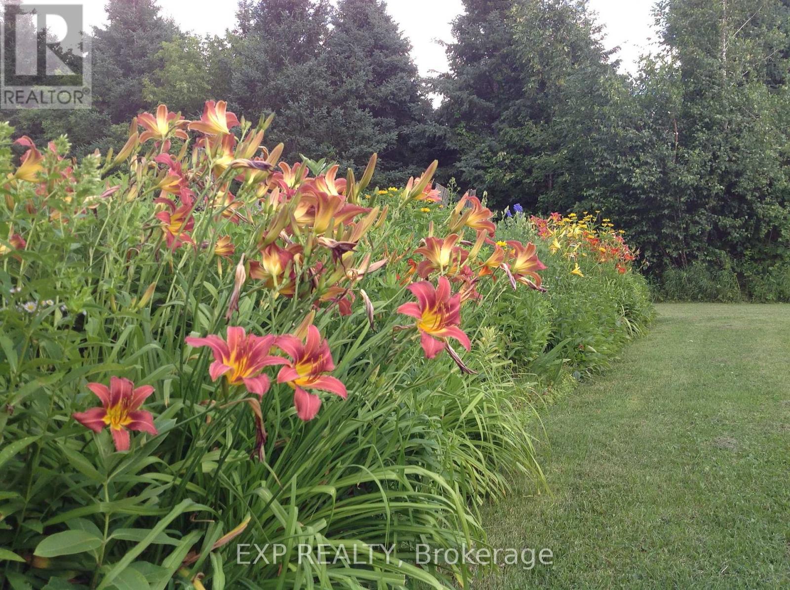 2375 County 10 Road, East Hawkesbury, Ontario  K0B 1P0 - Photo 44 - X12479657