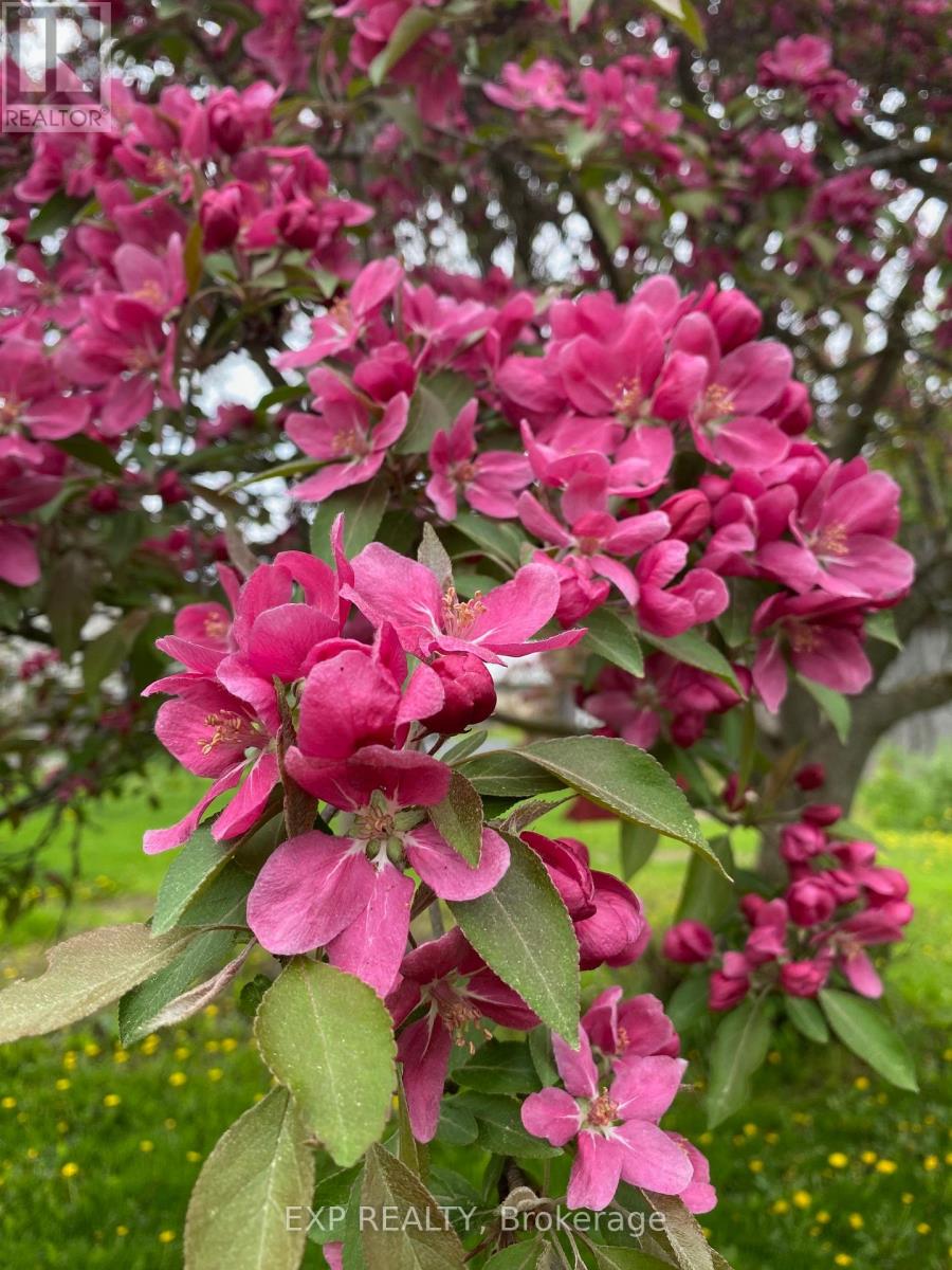 2375 County 10 Road, East Hawkesbury, Ontario  K0B 1P0 - Photo 45 - X12479657