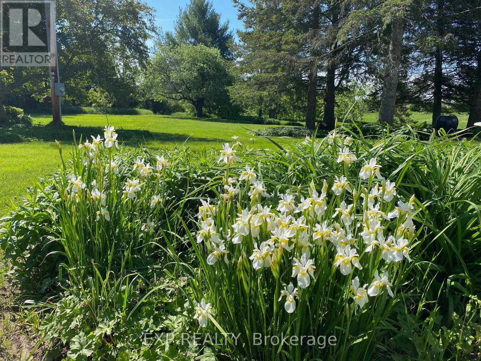 2375 County 10 Road, East Hawkesbury, Ontario  K0B 1P0 - Photo 46 - X12479657