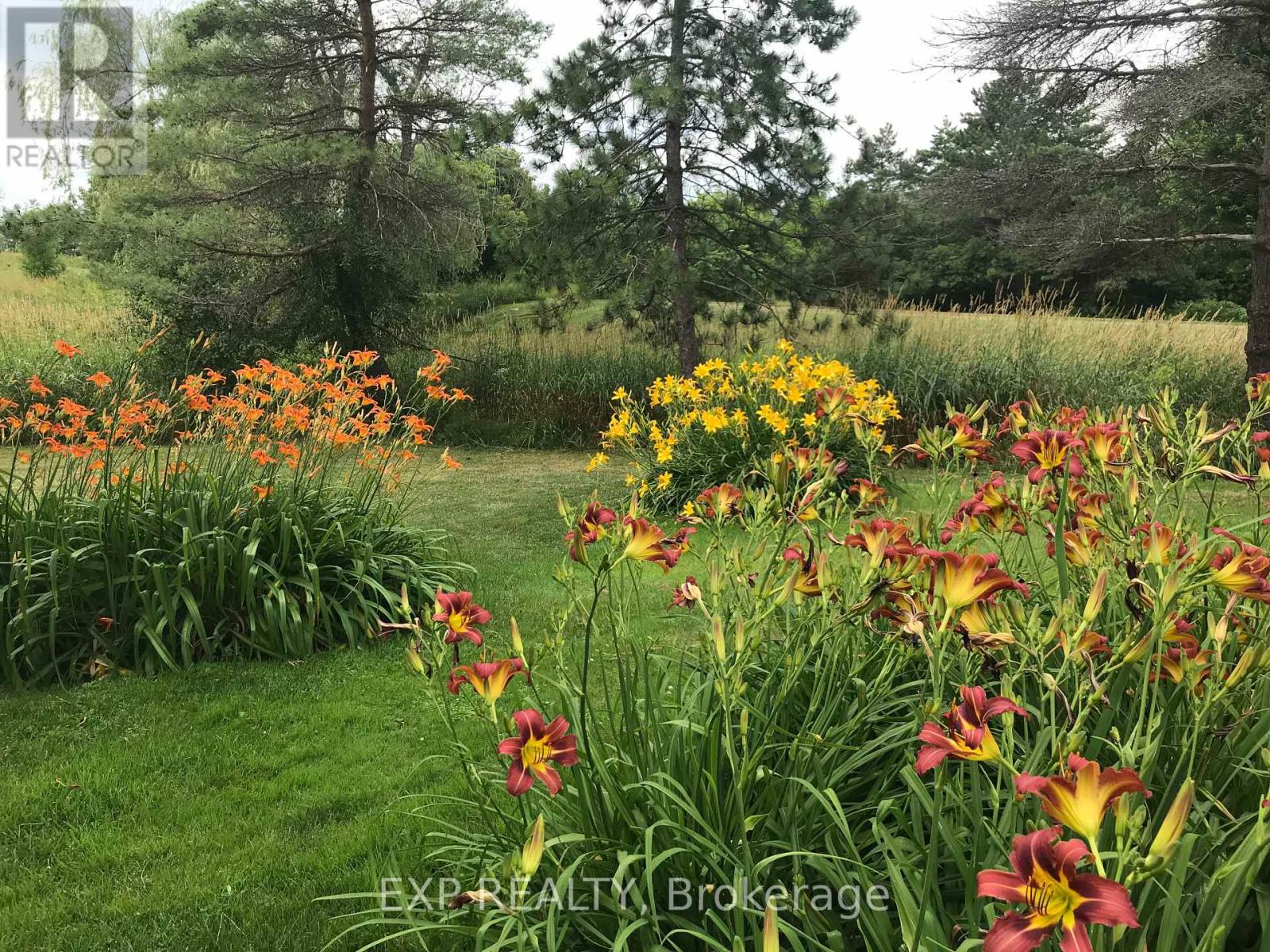 2375 County 10 Road, East Hawkesbury, Ontario  K0B 1P0 - Photo 48 - X12479657