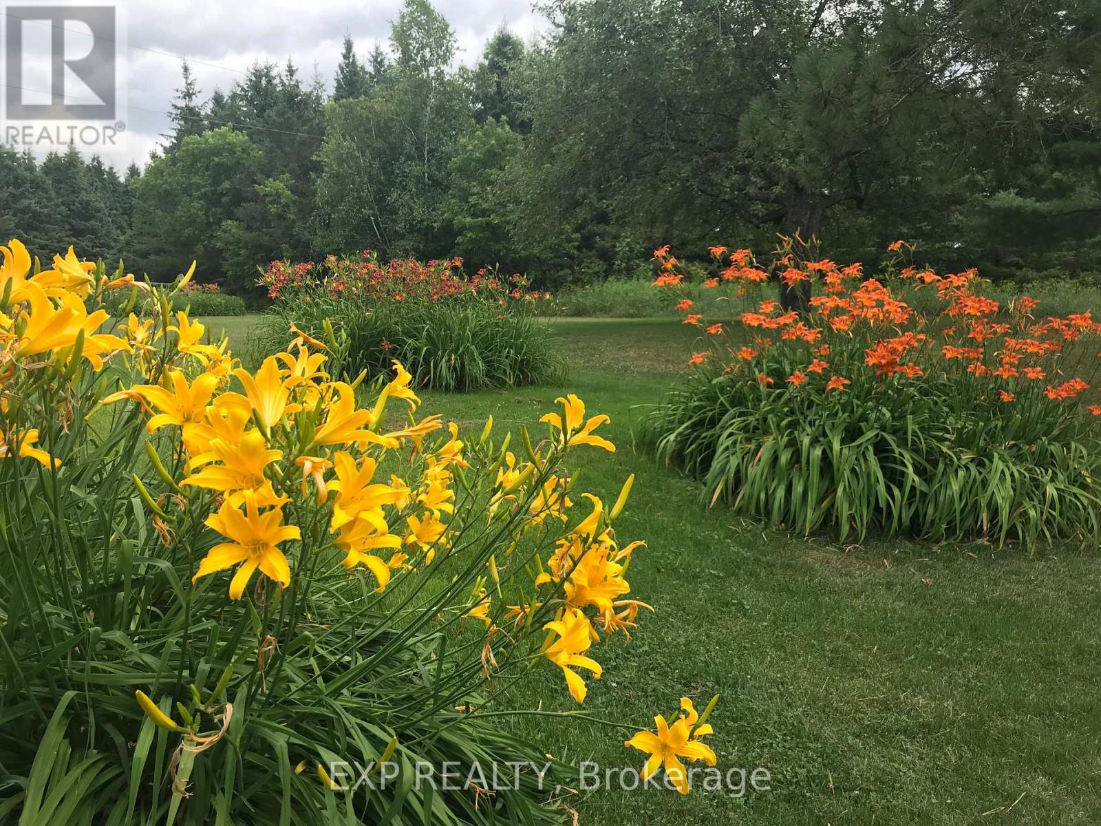 2375 County 10 Road, East Hawkesbury, Ontario  K0B 1P0 - Photo 49 - X12479657