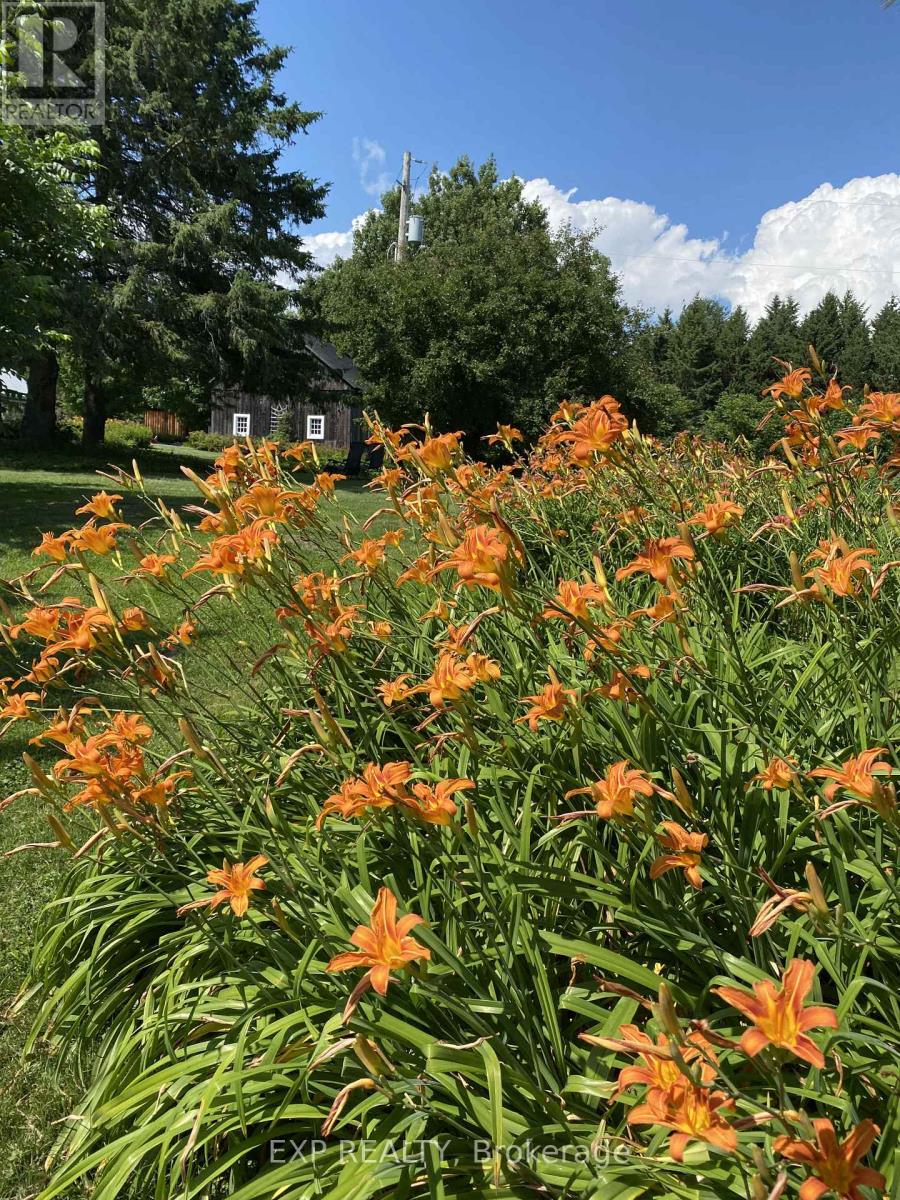 2375 County 10 Road, East Hawkesbury, Ontario  K0B 1P0 - Photo 47 - X12479657