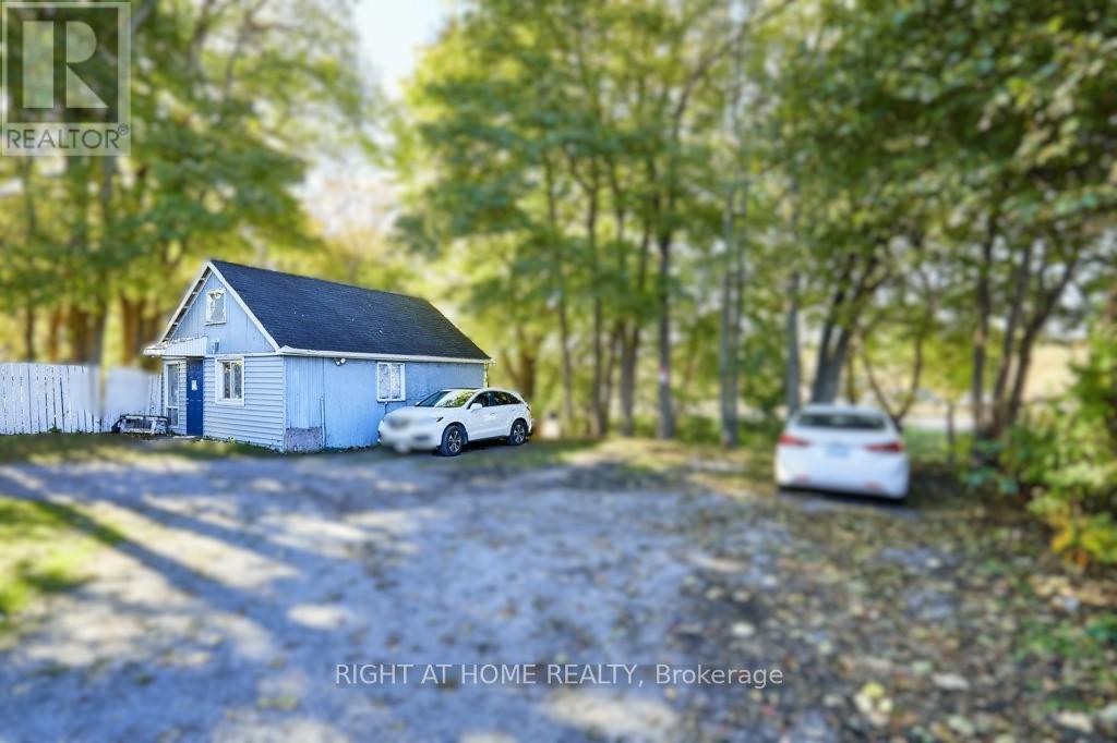 562 Simcoe Street S, Oshawa, Ontario  L1H 4K2 - Photo 4 - E12490238