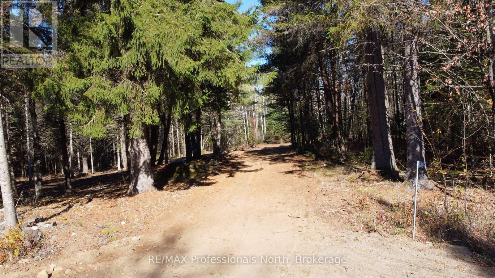 1897 Blairhampton Road, Minden Hills, Ontario K0M 2K0 - Photo 11 - X12196393