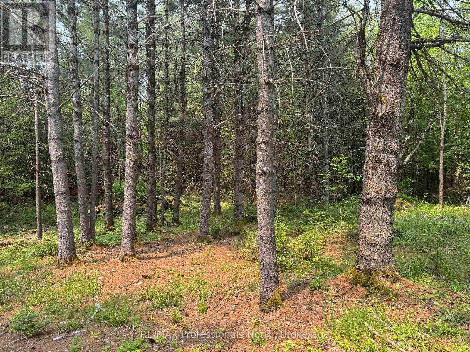 1897 Blairhampton Road, Minden Hills, Ontario K0M 2K0 - Photo 13 - X12196393