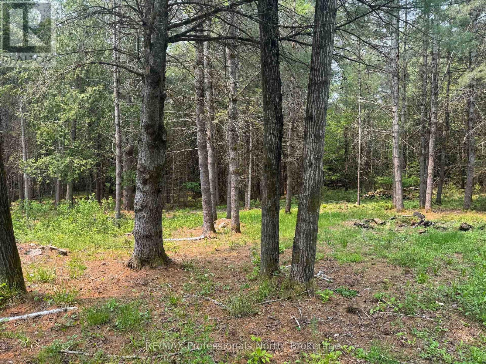 1897 Blairhampton Road, Minden Hills, Ontario K0M 2K0 - Photo 15 - X12196393