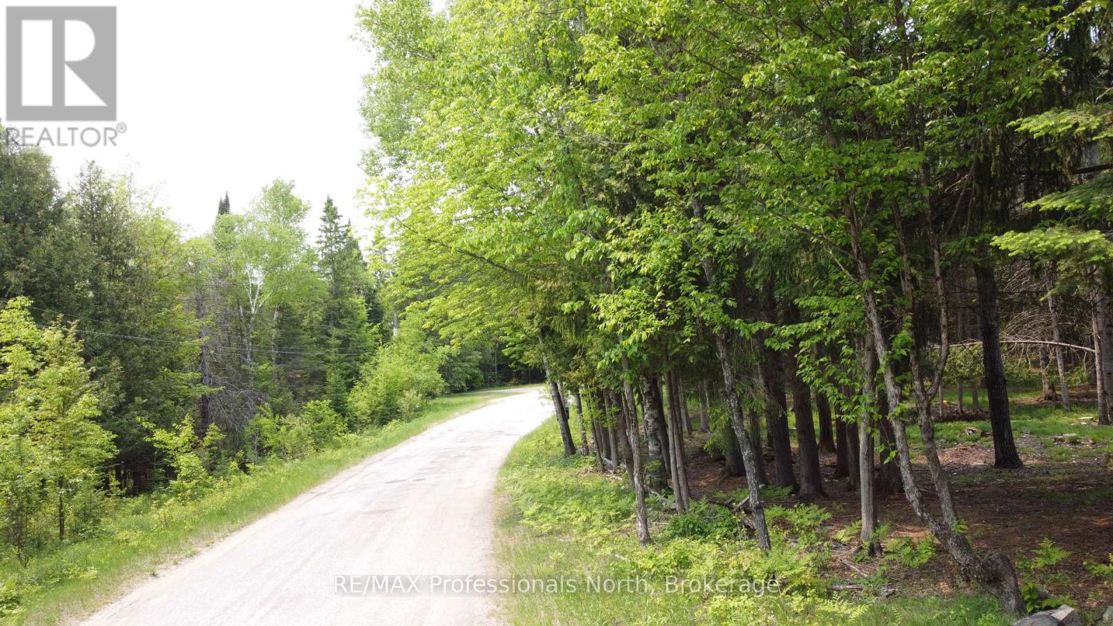 1897 Blairhampton Road, Minden Hills, Ontario K0M 2K0 - Photo 19 - X12196393