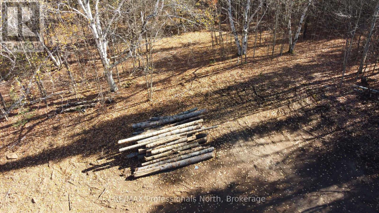 1897 Blairhampton Road, Minden Hills, Ontario K0M 2K0 - Photo 24 - X12196393