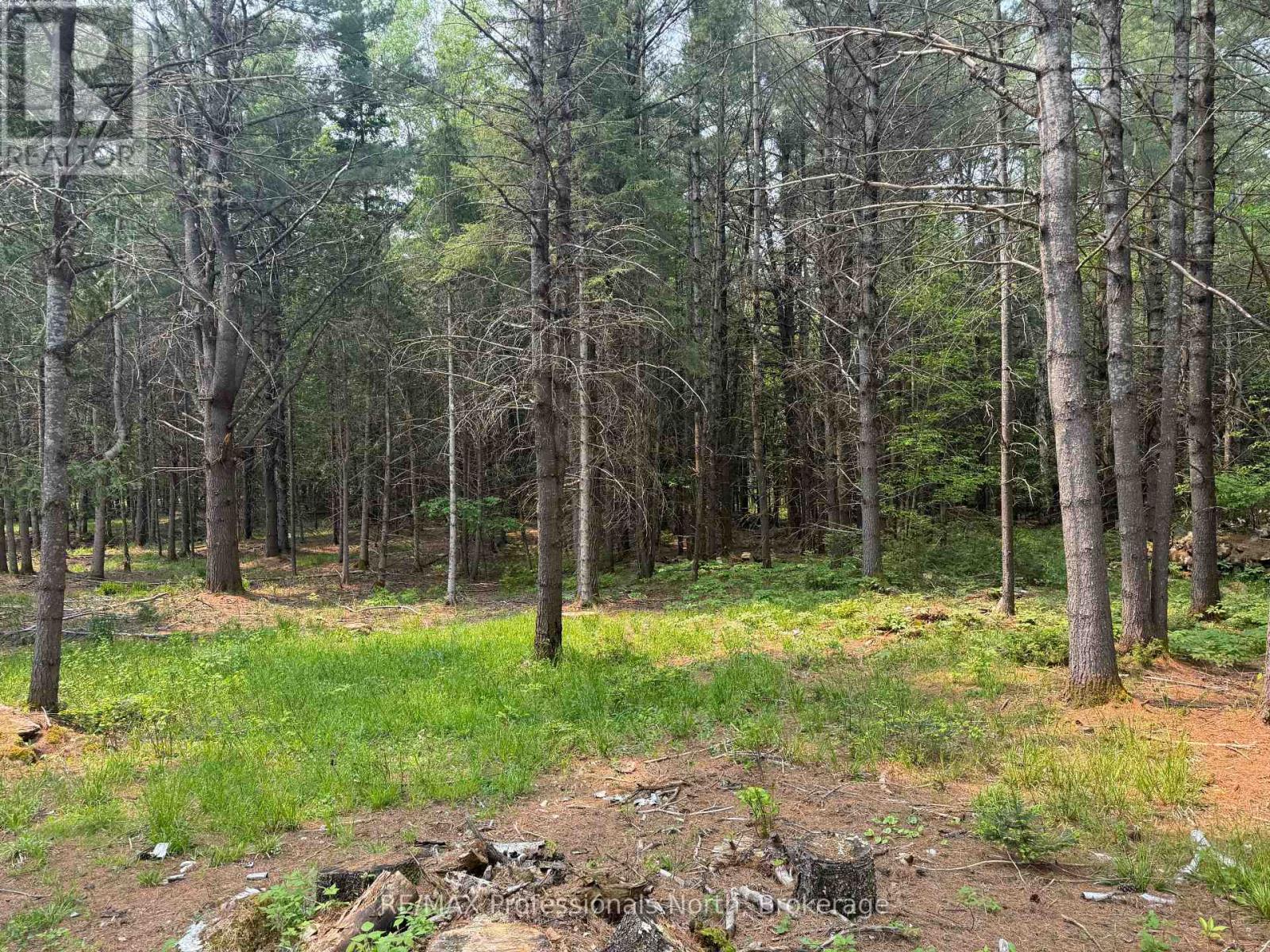 1897 Blairhampton Road, Minden Hills, Ontario K0M 2K0 - Photo 17 - X12196393