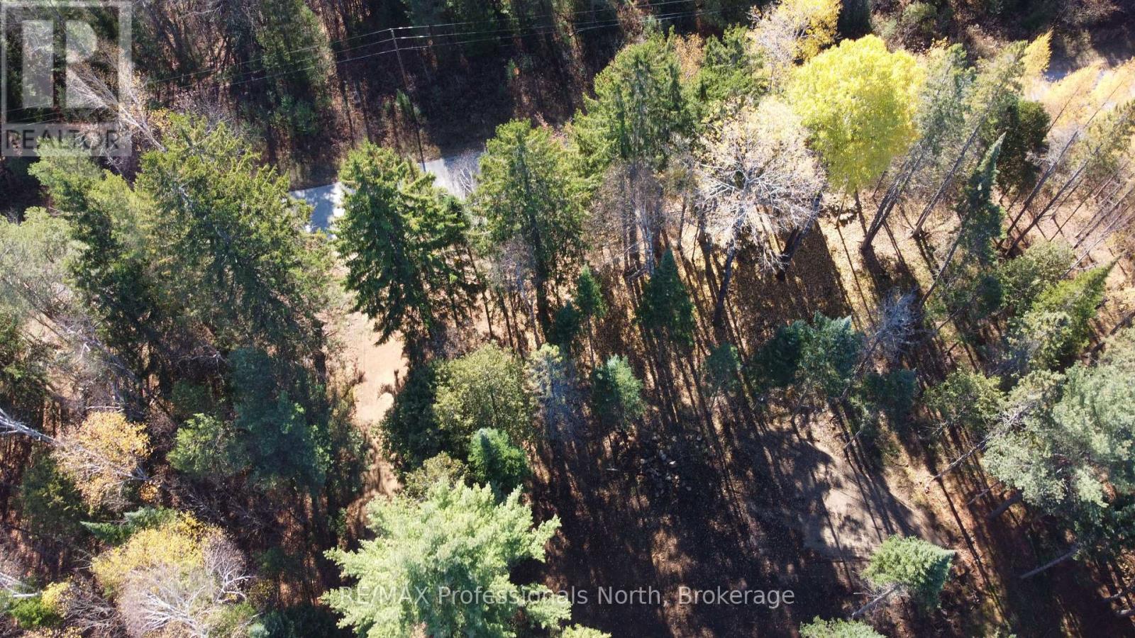 1897 Blairhampton Road, Minden Hills, Ontario K0M 2K0 - Photo 20 - X12196393