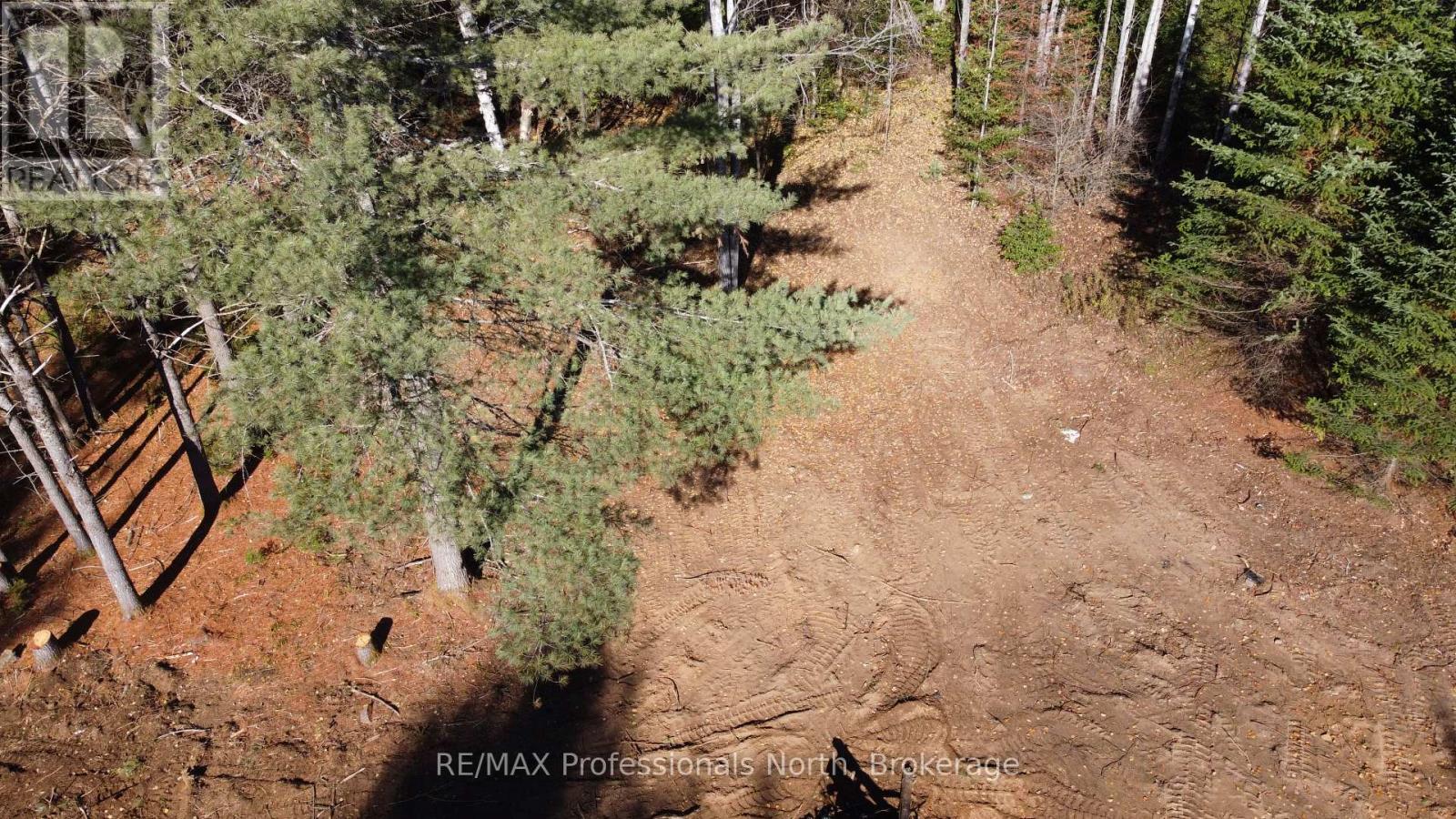 1897 Blairhampton Road, Minden Hills, Ontario K0M 2K0 - Photo 26 - X12196393