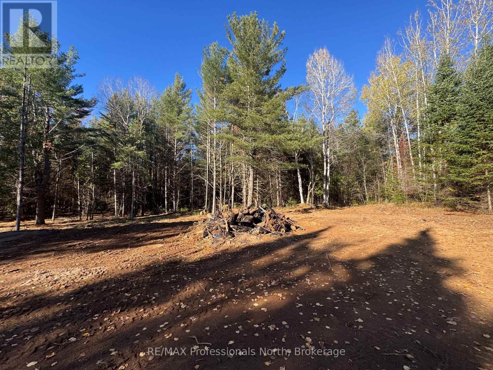 1897 Blairhampton Road, Minden Hills, Ontario K0M 2K0 - Photo 3 - X12196393