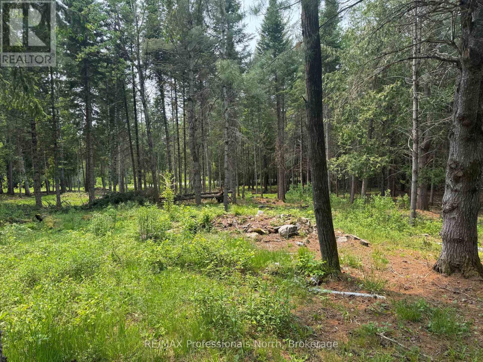 1897 Blairhampton Road, Minden Hills, Ontario K0M 2K0 - Photo 12 - X12196393