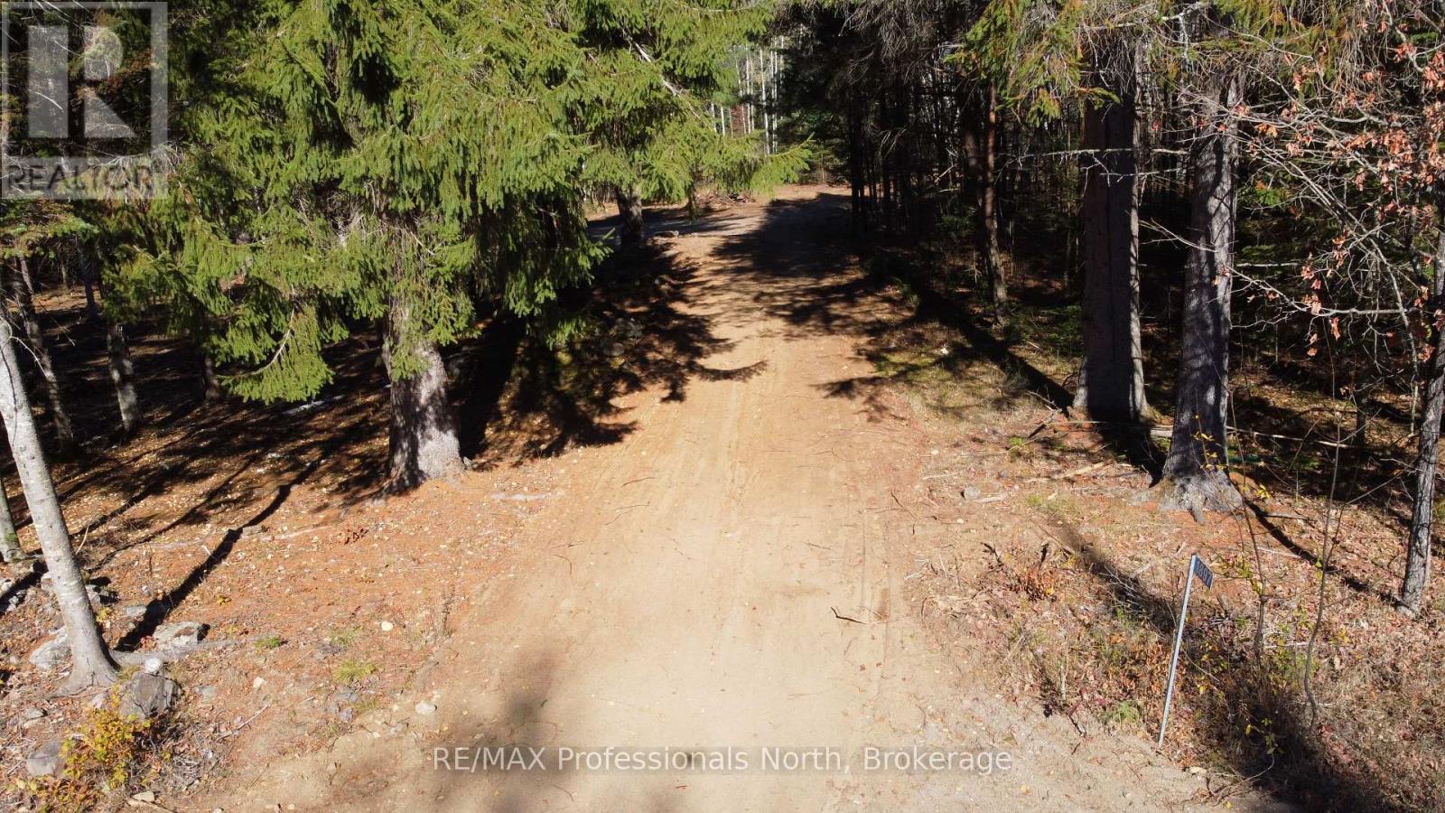 1897 Blairhampton Road, Minden Hills, Ontario K0M 2K0 - Photo 10 - X12196393