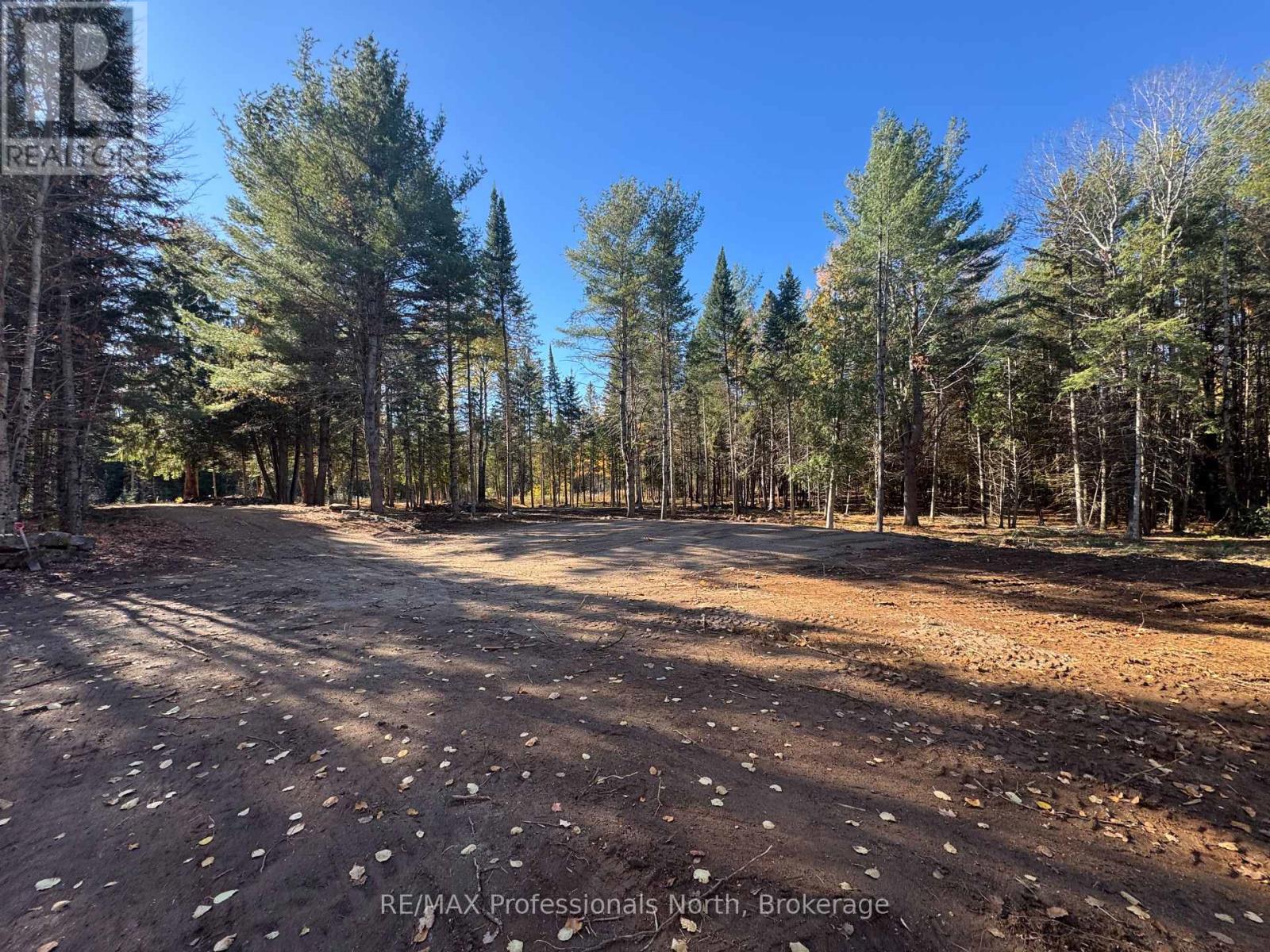 1897 Blairhampton Road, Minden Hills, Ontario K0M 2K0 - Photo 2 - X12196393