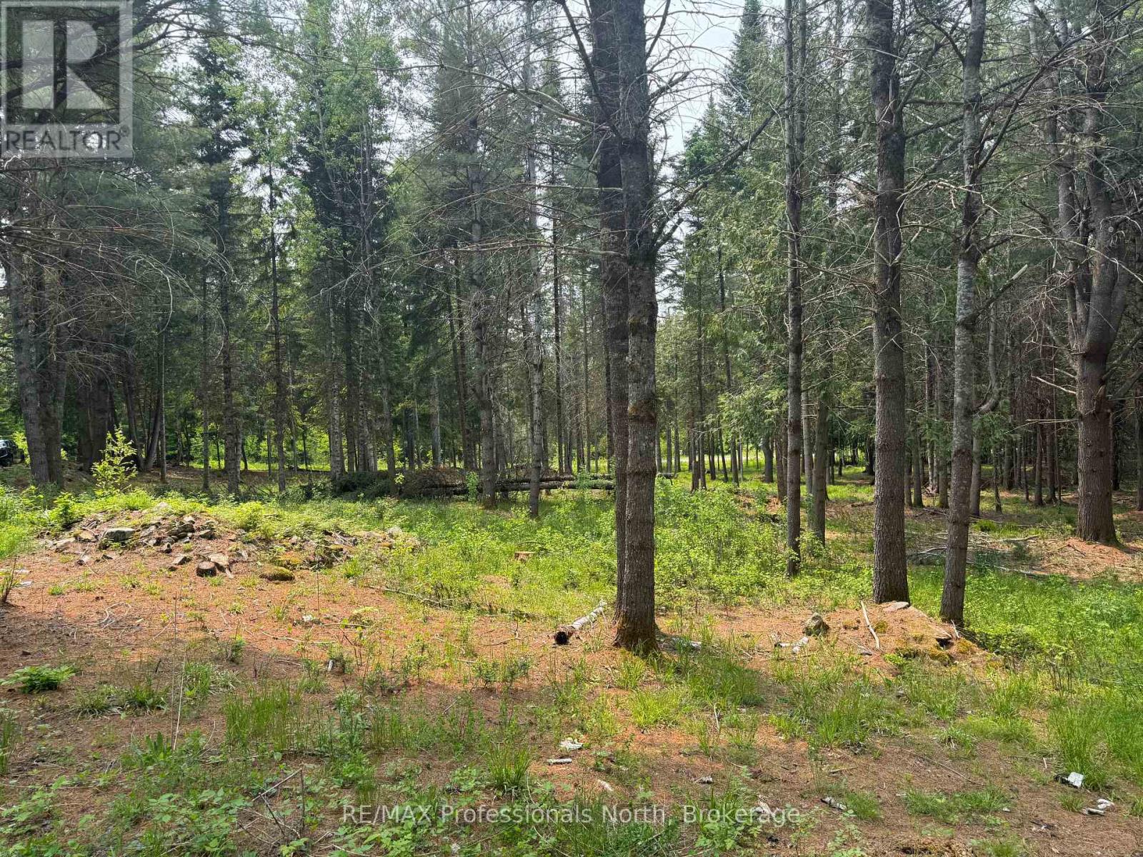 1897 Blairhampton Road, Minden Hills, Ontario K0M 2K0 - Photo 18 - X12196393