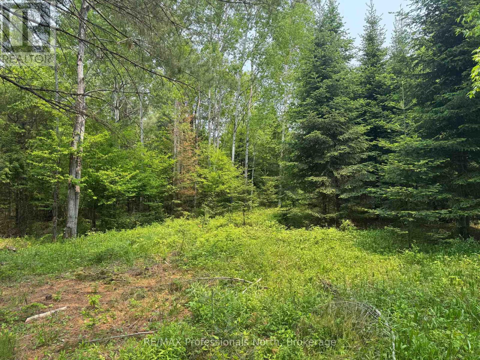 1897 Blairhampton Road, Minden Hills, Ontario K0M 2K0 - Photo 16 - X12196393