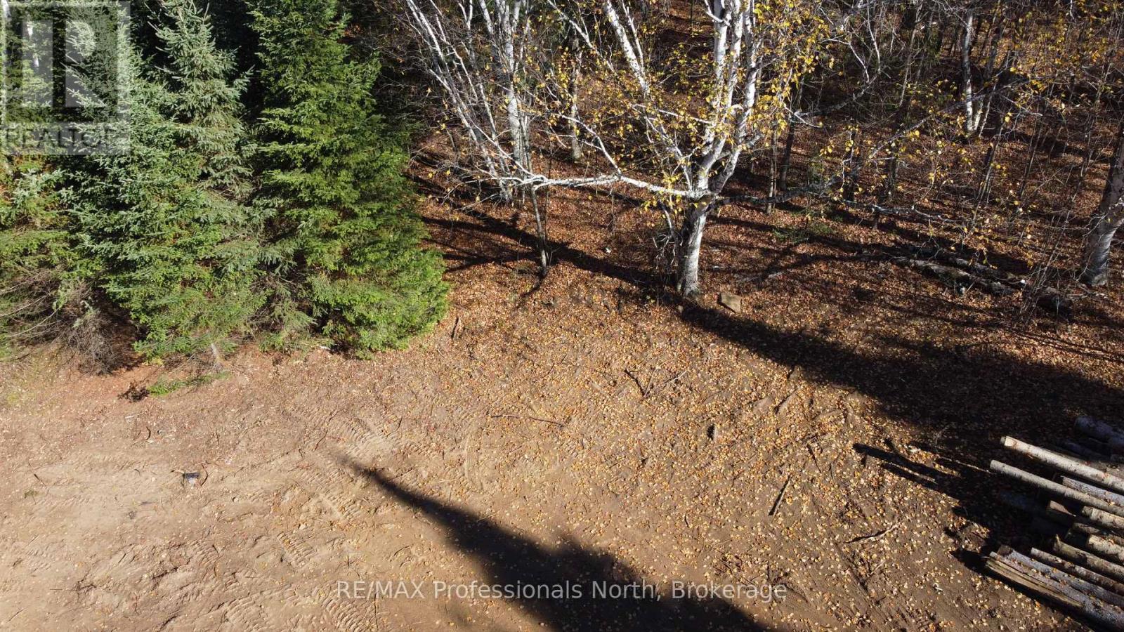 1897 Blairhampton Road, Minden Hills, Ontario K0M 2K0 - Photo 25 - X12196393