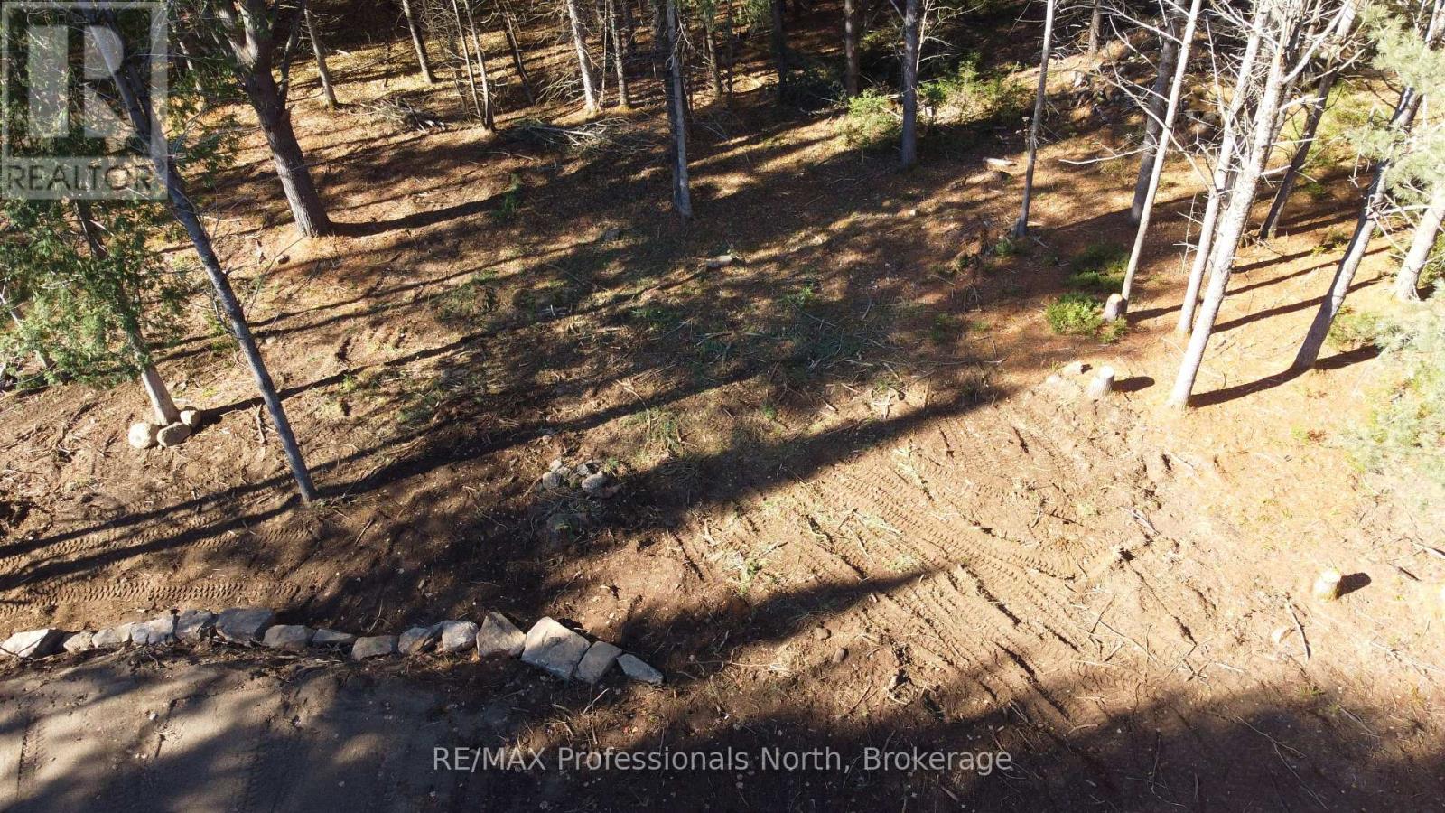 1897 Blairhampton Road, Minden Hills, Ontario K0M 2K0 - Photo 27 - X12196393