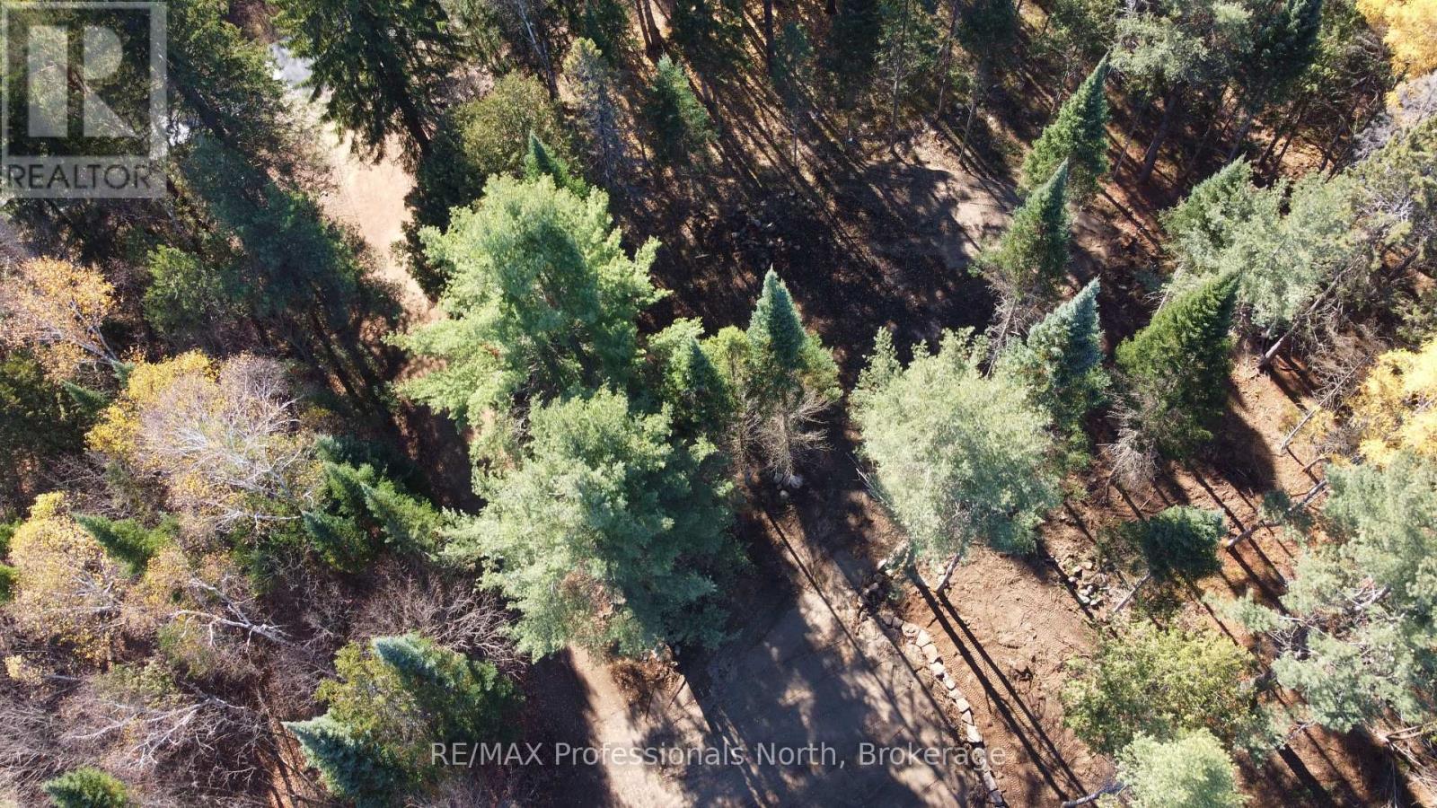 1897 Blairhampton Road, Minden Hills, Ontario K0M 2K0 - Photo 21 - X12196393