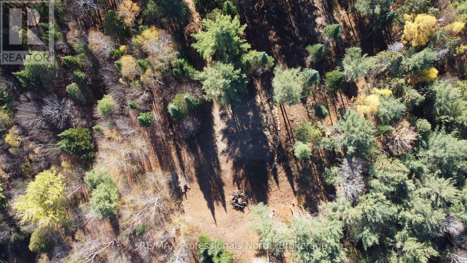 1897 Blairhampton Road, Minden Hills, Ontario K0M 2K0 - Photo 37 - X12196393