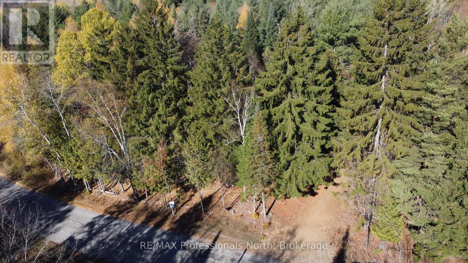 1897 Blairhampton Road, Minden Hills, Ontario K0M 2K0 - Photo 43 - X12196393