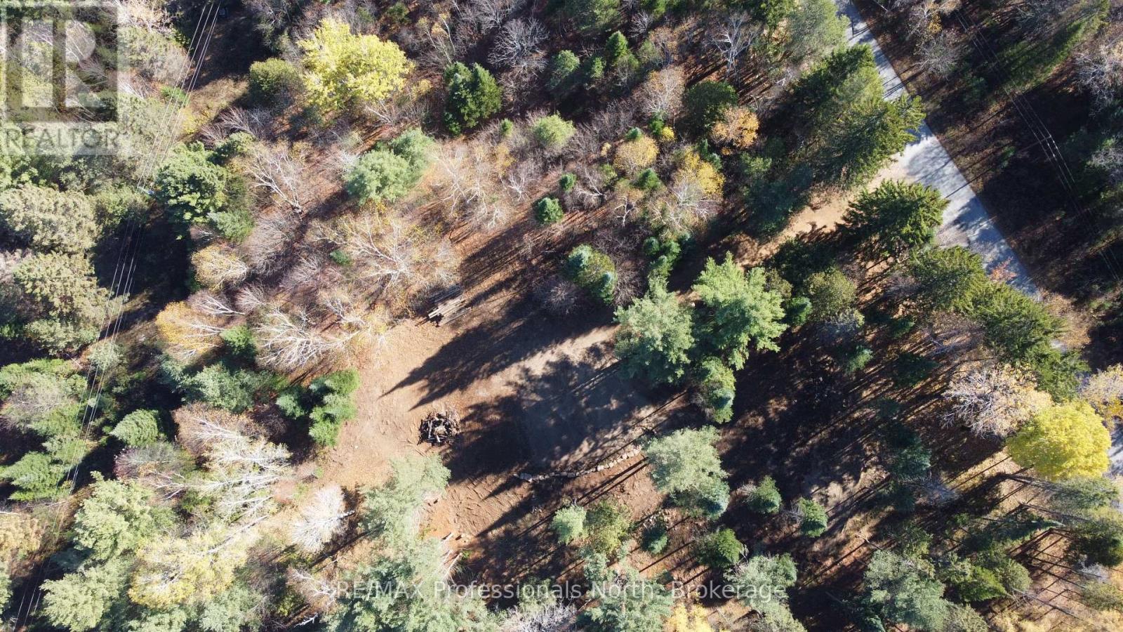 1897 Blairhampton Road, Minden Hills, Ontario K0M 2K0 - Photo 38 - X12196393