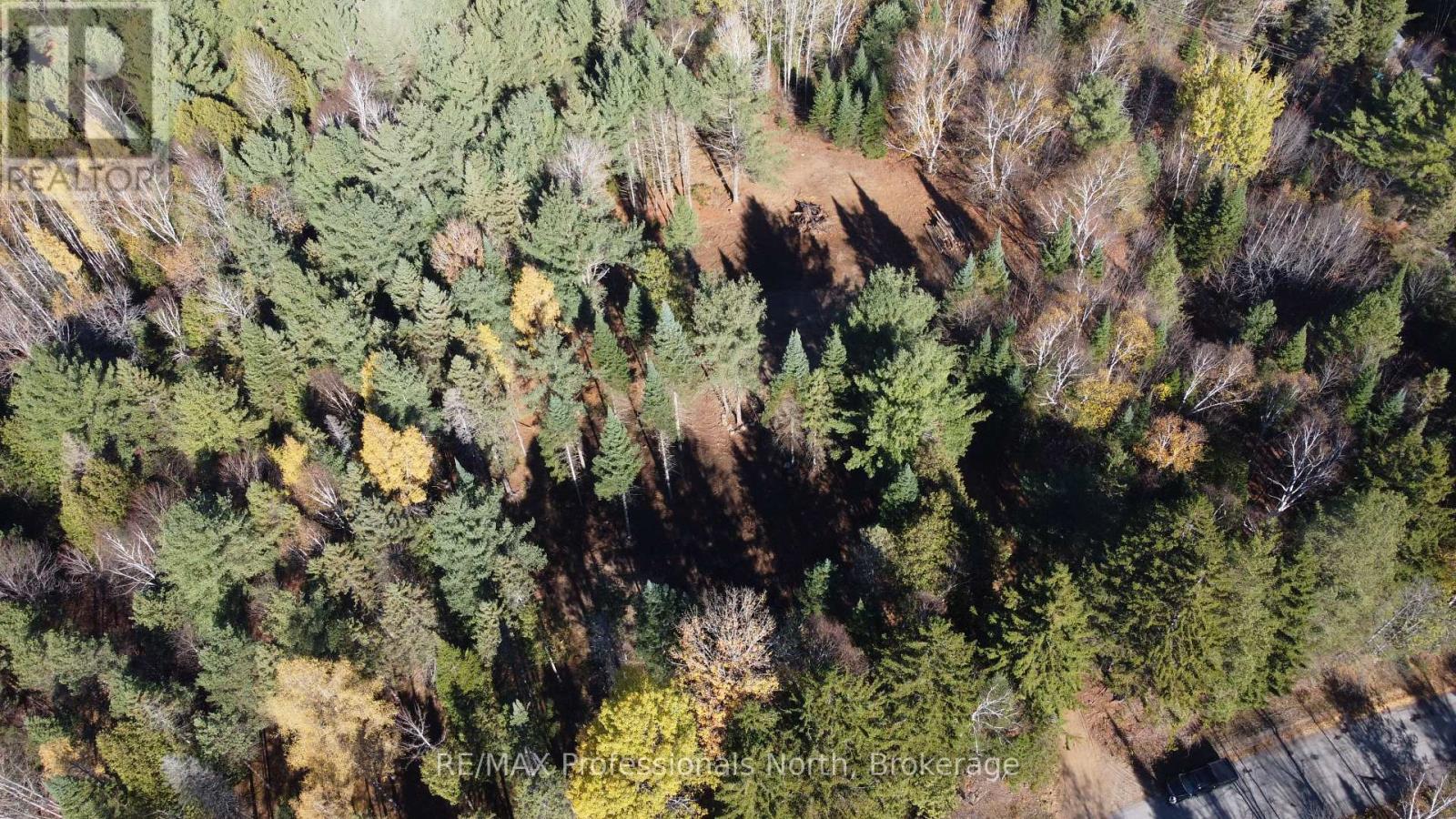 1897 Blairhampton Road, Minden Hills, Ontario K0M 2K0 - Photo 49 - X12196393