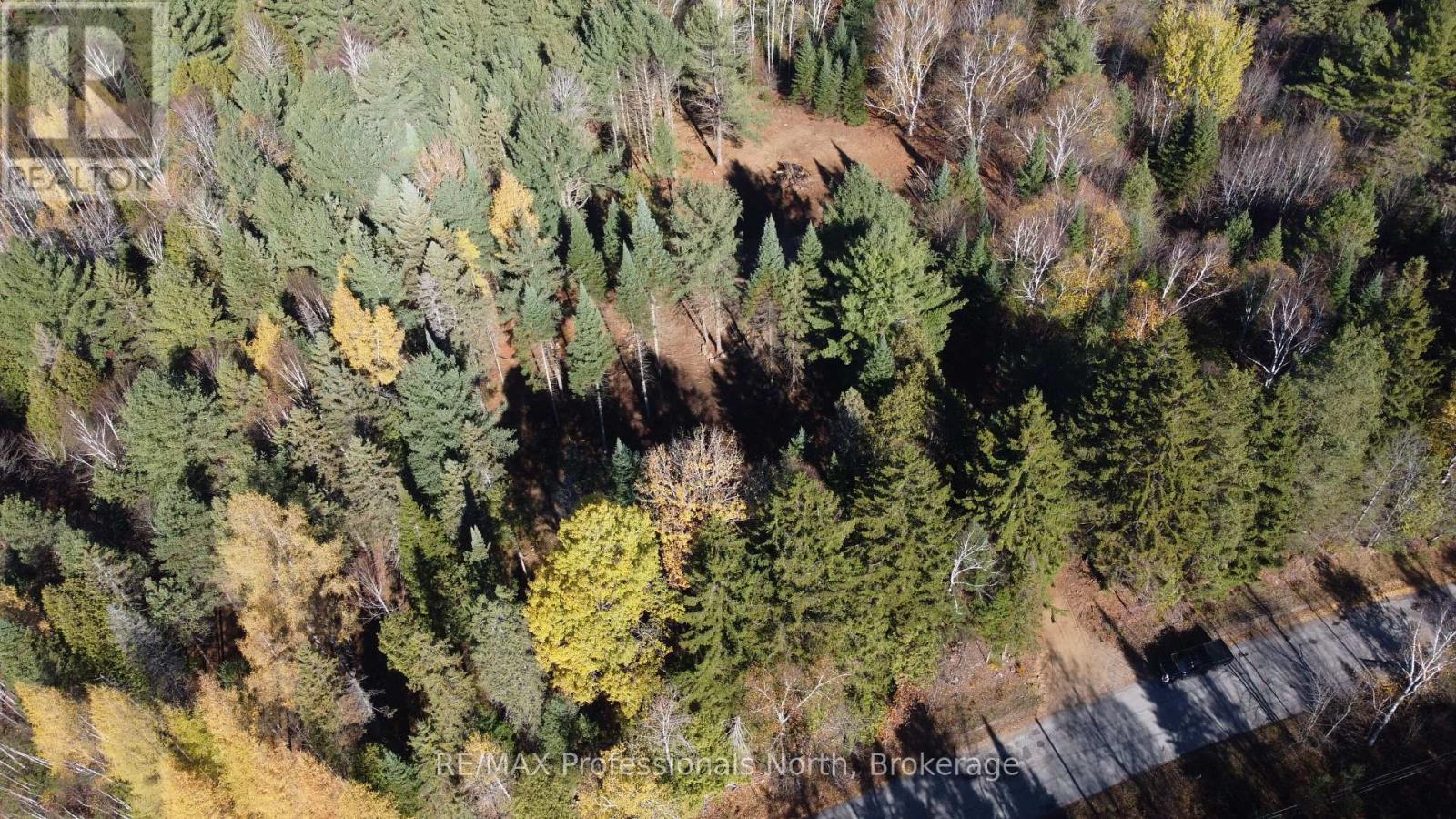 1897 Blairhampton Road, Minden Hills, Ontario K0M 2K0 - Photo 50 - X12196393