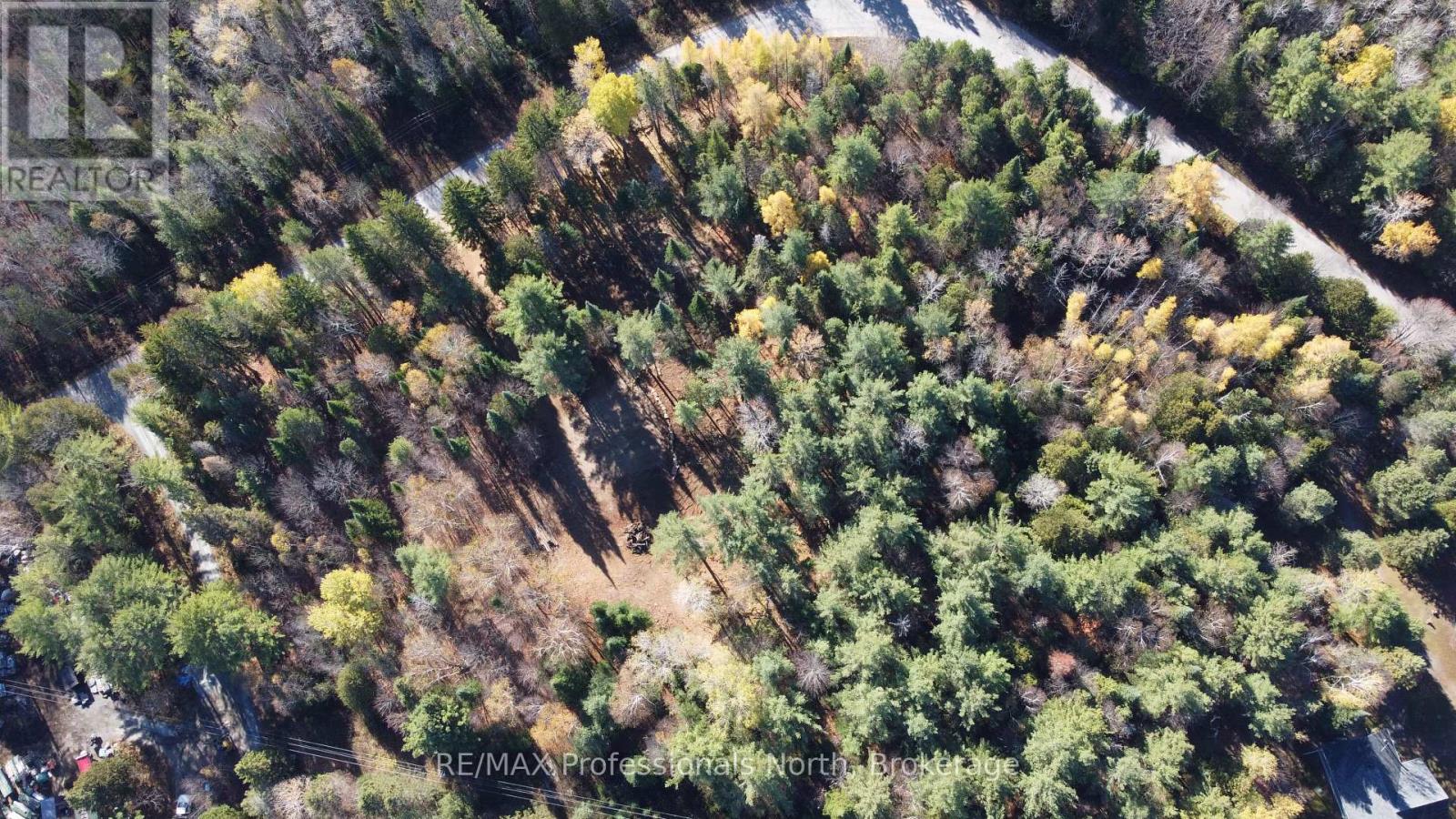 1897 Blairhampton Road, Minden Hills, Ontario K0M 2K0 - Photo 41 - X12196393