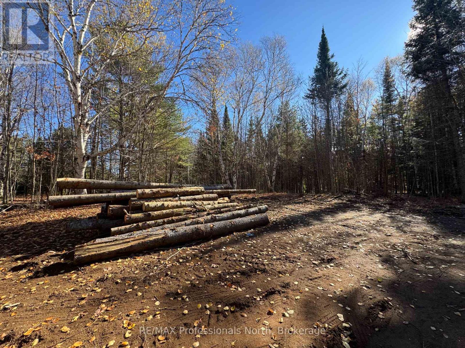 1897 Blairhampton Road, Minden Hills, Ontario K0M 2K0 - Photo 4 - X12196393