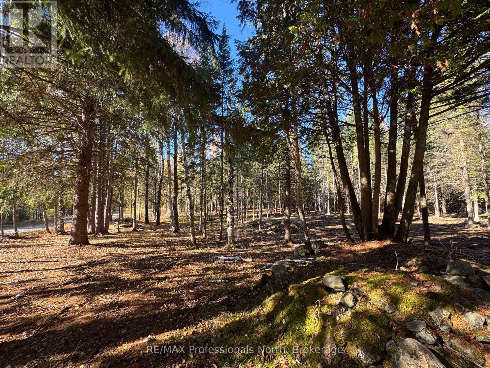 1897 Blairhampton Road, Minden Hills, Ontario K0M 2K0 - Photo 7 - X12196393