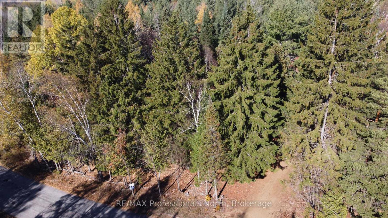 1897 Blairhampton Road, Minden Hills, Ontario K0M 2K0 - Photo 44 - X12196393