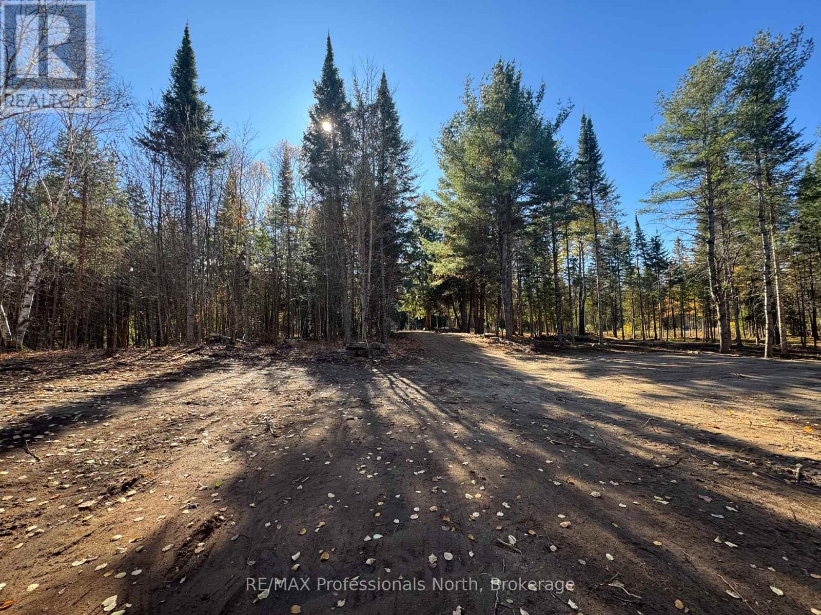 1897 Blairhampton Road, Minden Hills, Ontario K0M 2K0 - Photo 6 - X12196393